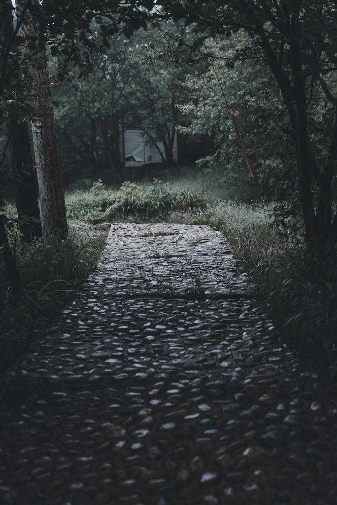 A dark park pathway.