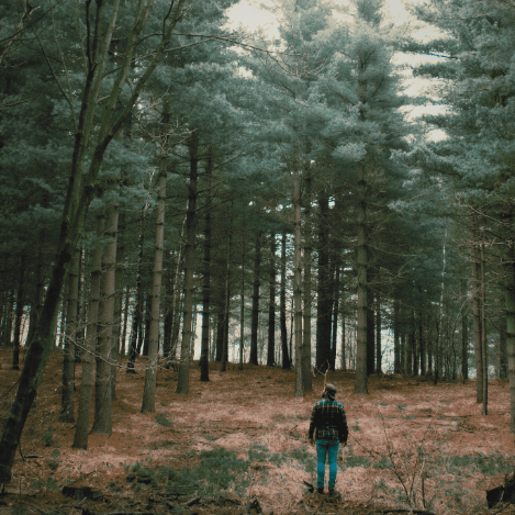 jess knaus author urban fantasy man stands in forest